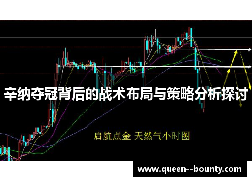 辛纳夺冠背后的战术布局与策略分析探讨