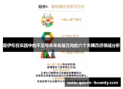 霍伊伦在实践中的不足与未来发展方向的六个关键改进领域分析